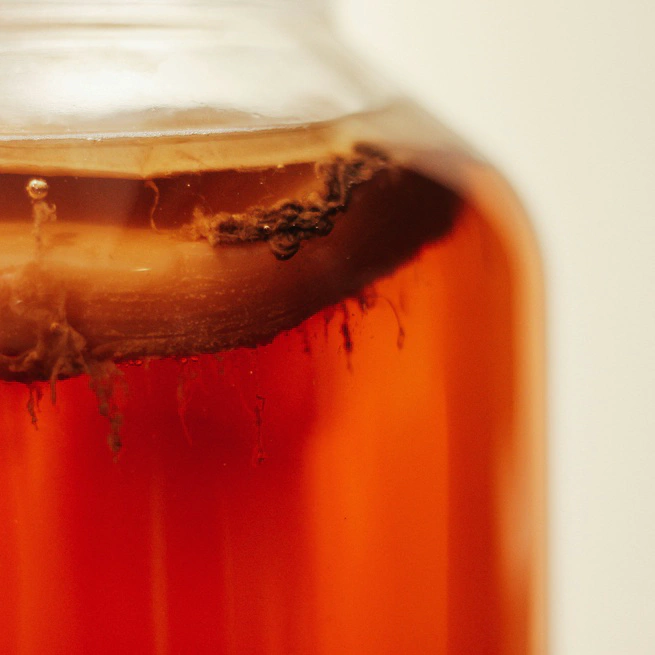 🫙 Kombucha. Alimenta el microbioma